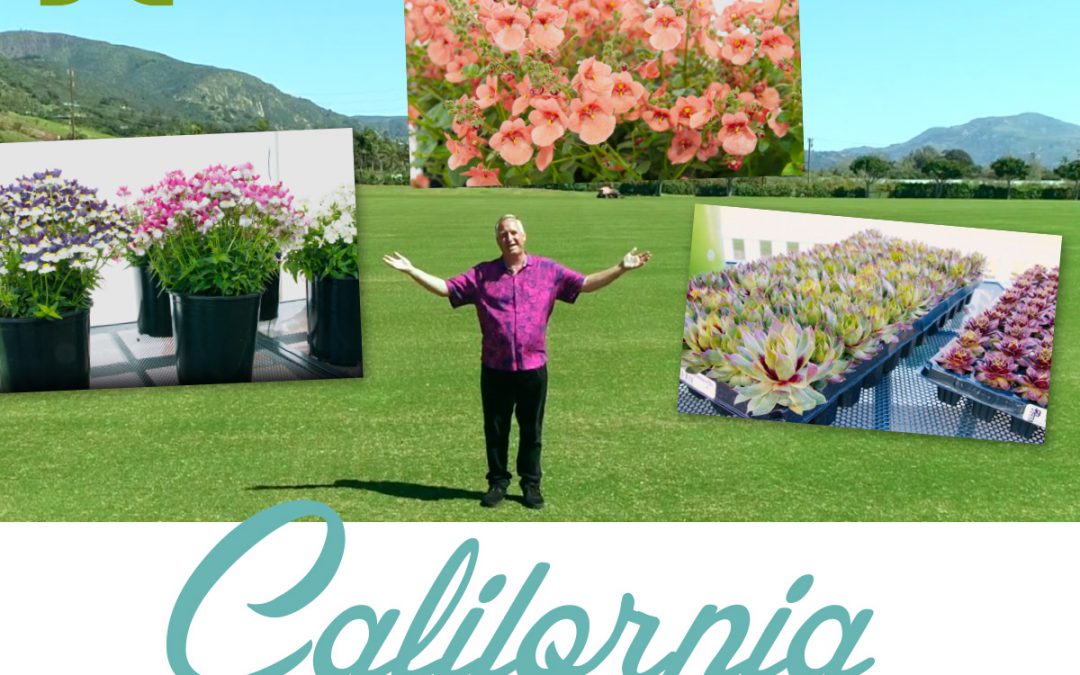 PlantHaven Hot Selection – California Spring Trials 2023 Video