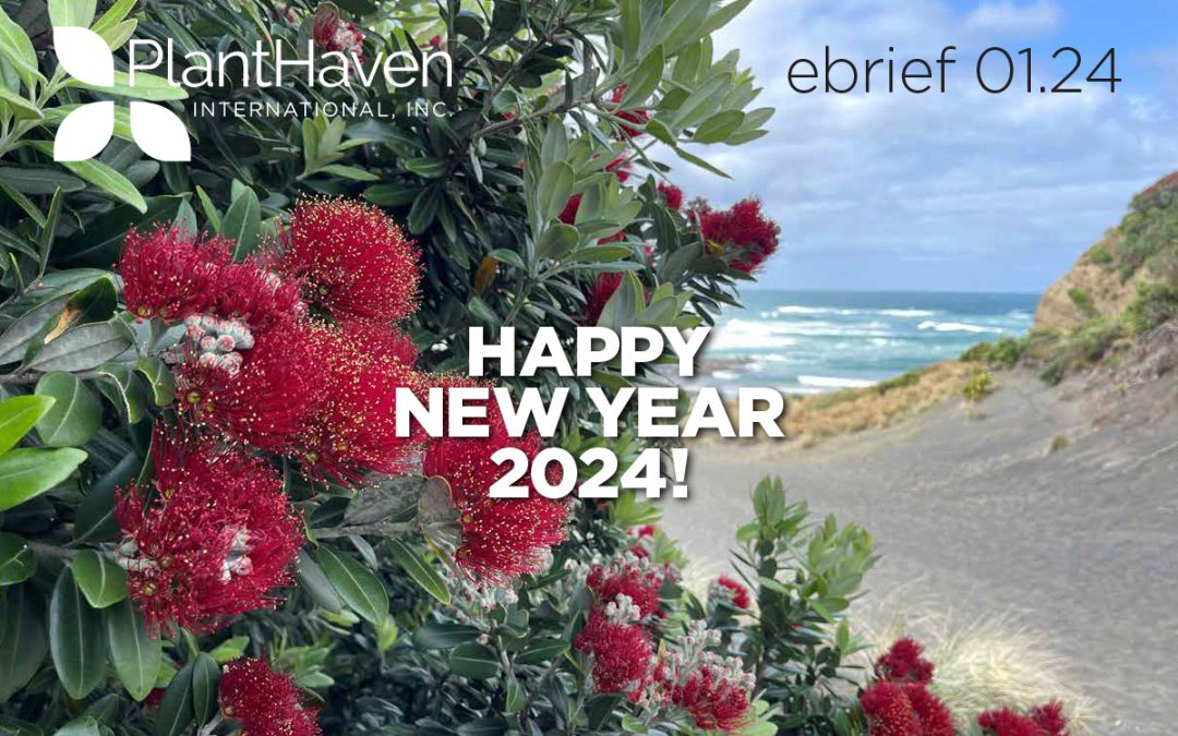 PlantHaven International eBrief Newsletter – January 2024