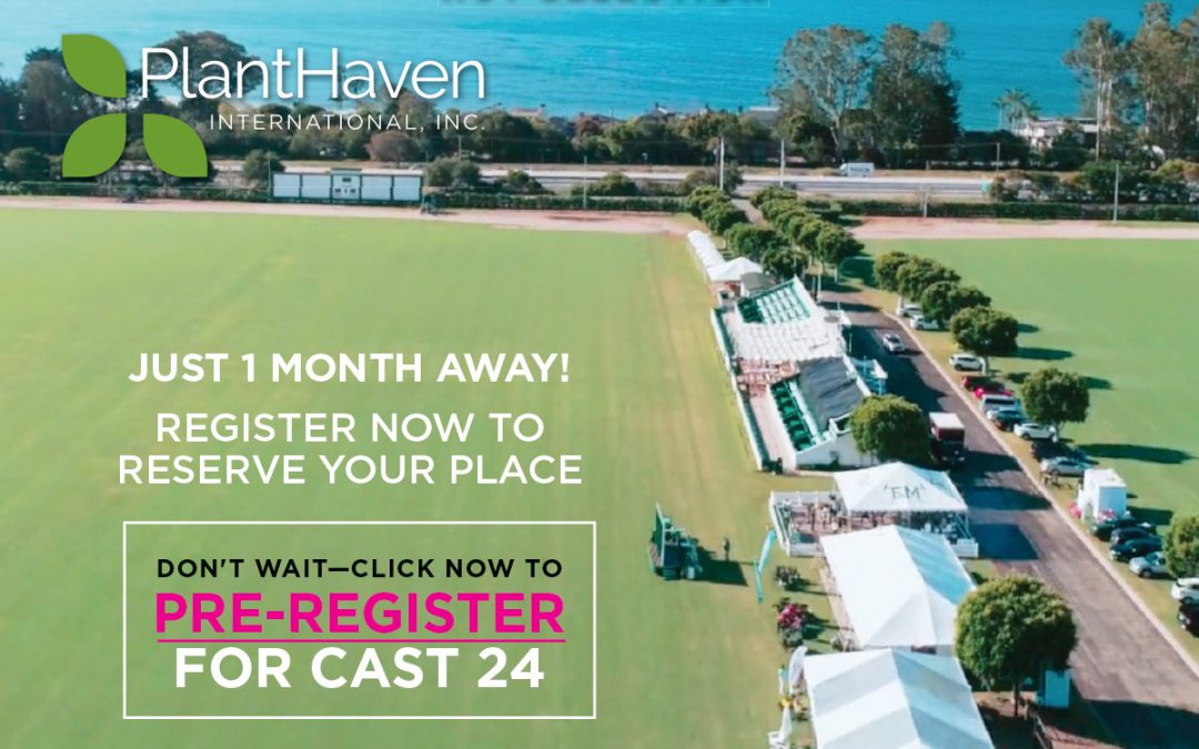 PlantHaven Hot Selection – CAST2024 is Just 1 Month Away